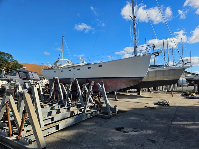'Sandy Bottoms' Freedom 40